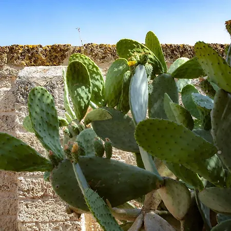 Farm stay Masseria Bernardini By Symphonya Luxury *